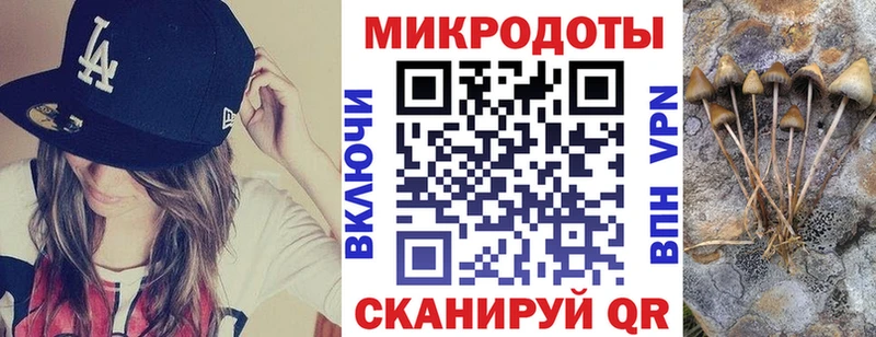 Галлюциногенные грибы Psilocybine cubensis  Купить  Шлиссельбург 
